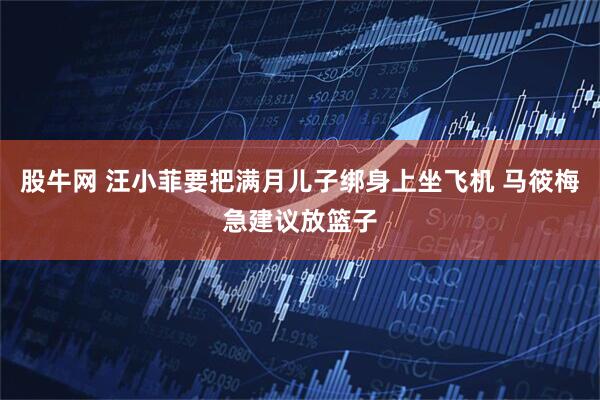 股牛网 汪小菲要把满月儿子绑身上坐飞机 马筱梅急建议放篮子
