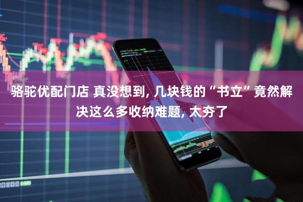 骆驼优配门店 真没想到, 几块钱的“书立”竟然解决这么多收纳难题, 太夯了