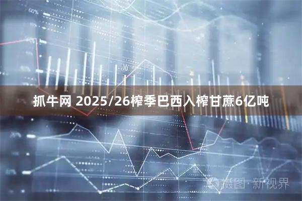 抓牛网 2025/26榨季巴西入榨甘蔗6亿吨